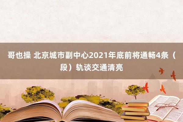 哥也操 北京城市副中心2021年底前将通畅4条（段）轨谈交通清亮