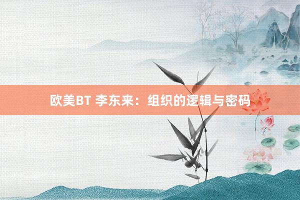 欧美BT 李东来：组织的逻辑与密码