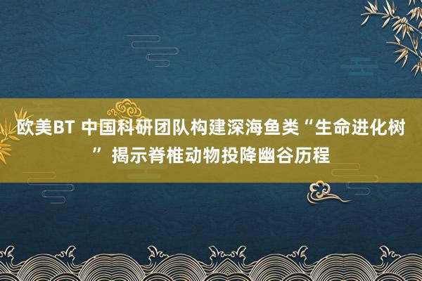 欧美BT 中国科研团队构建深海鱼类“生命进化树” 揭示脊椎动物投降幽谷历程