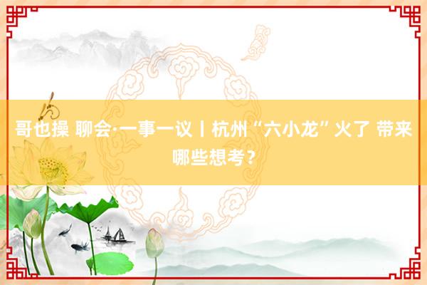 哥也操 聊会·一事一议丨杭州“六小龙”火了 带来哪些想考？