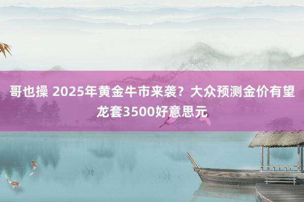 哥也操 2025年黄金牛市来袭？大众预测金价有望龙套3500好意思元