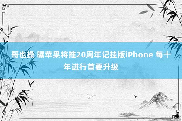 哥也操 曝苹果将推20周年记挂版iPhone 每十年进行首要升级