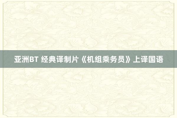 亚洲BT 经典译制片《机组乘务员》上译国语