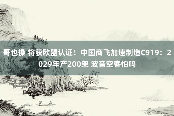 哥也操 将获欧盟认证！中国商飞加速制造C919：2029年产200架 波音空客怕吗